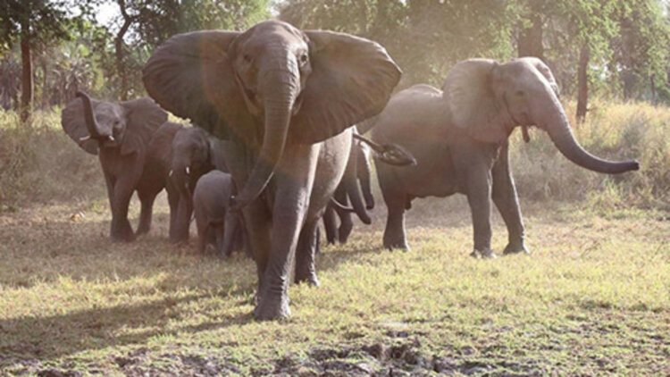 如何快速积累SOSO问问积分？