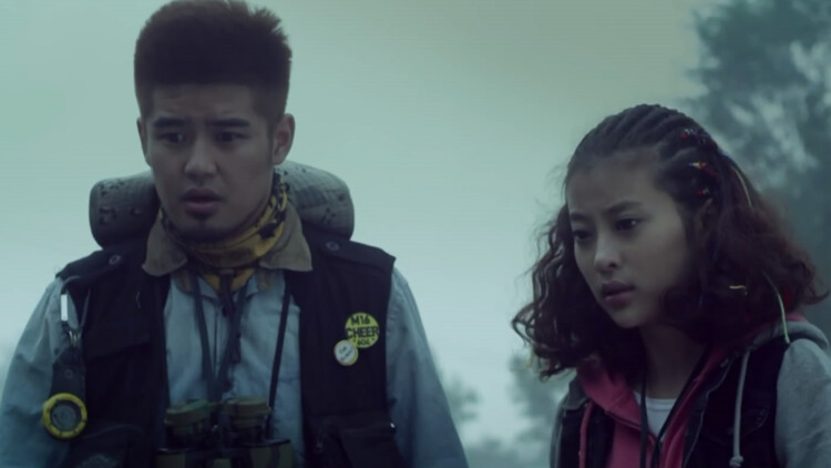 《前脚我被开后脚公司破产》的逆风翻盘与未来展望