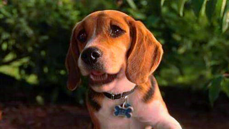 蛰伏十年婆婆亮剑：智慧反击