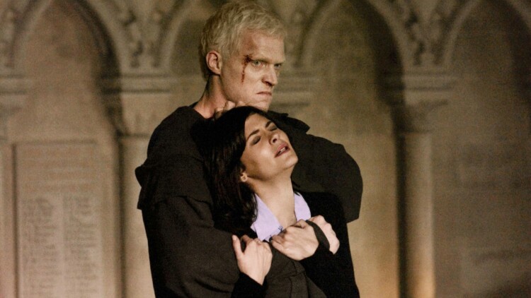 音速紫钻会员的独特特权