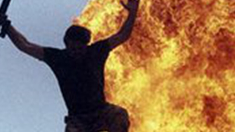 蜡笔小新新婚旅行飓风之遗失的野原广志