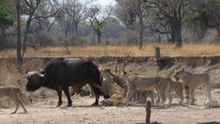 回到民国秒大仙——揭秘神秘力量的真相