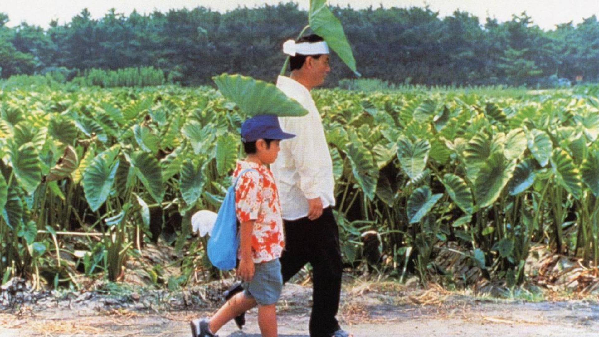 菊次郎的夏天-封面1