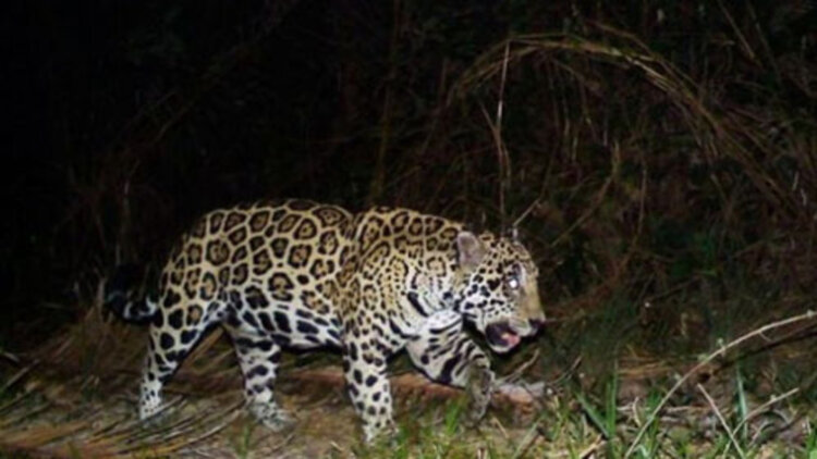 跟着唐诡去西行