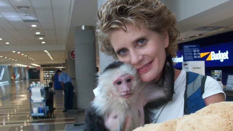 《外星+人2》最新选集