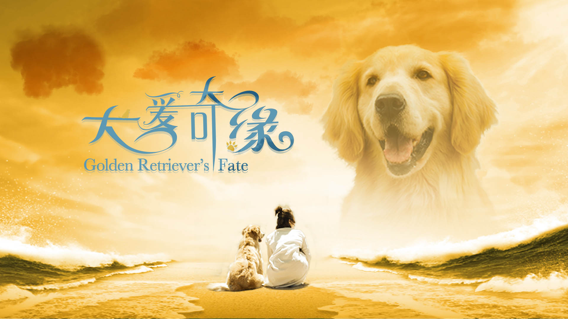 犬爱奇缘-封面1