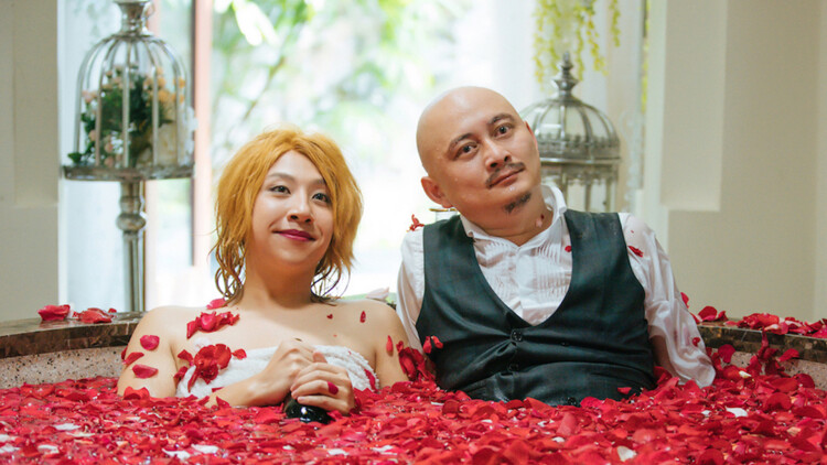 大白鲨的奇幻漂流