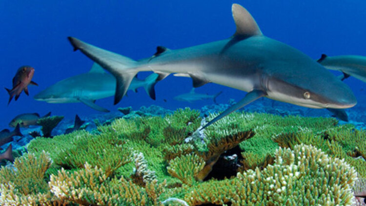 我当伴娘新郎进错房·混乱的早晨