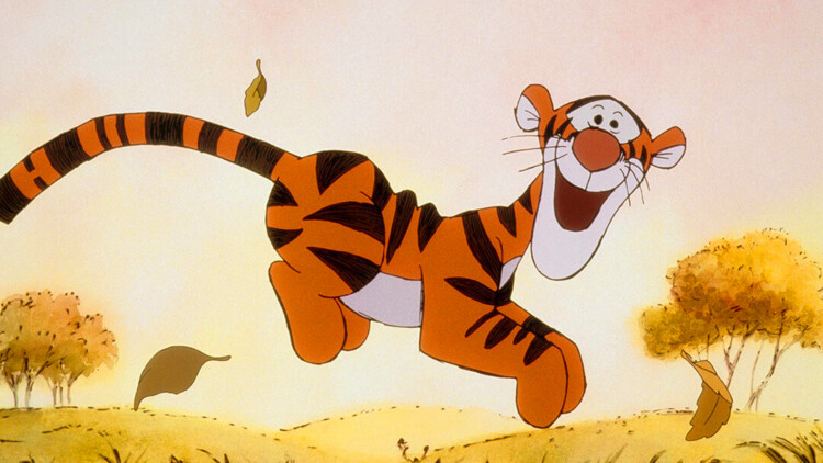 七零替姐嫁教官我霍霍了全家