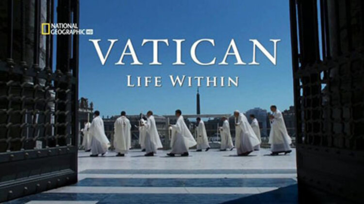 萌宝当家爹地死皮赖脸求入赘的圆满