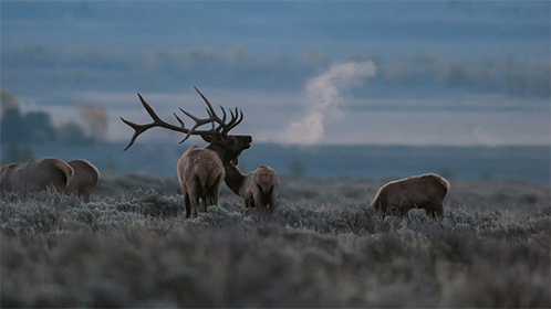 《以神之名信仰的背叛》_免费在线观看