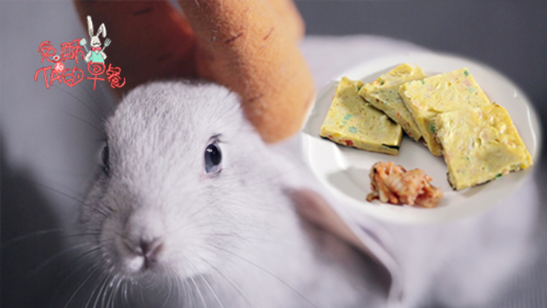 兔酥和TA的早餐