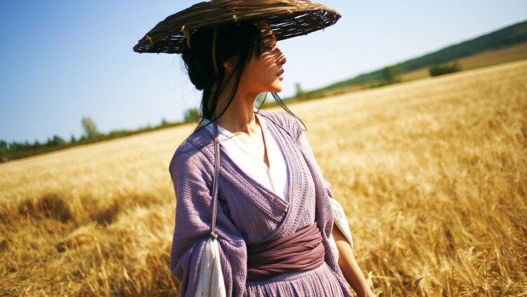 功夫小师叔：挑战巅峰