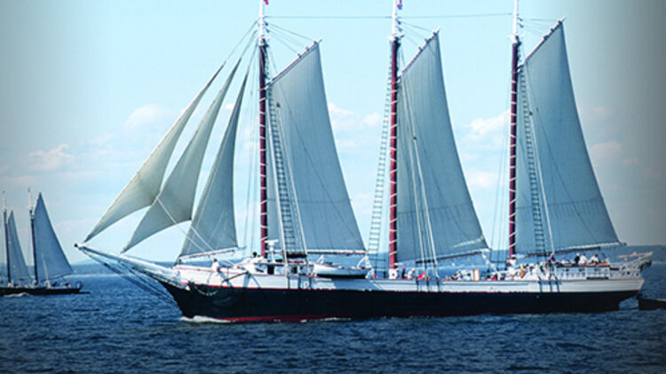 生在奥斯维辛集中营