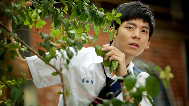 逆转次元AI崛起