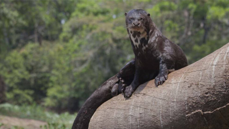 纪念我们遗失的爱的离别与痛苦