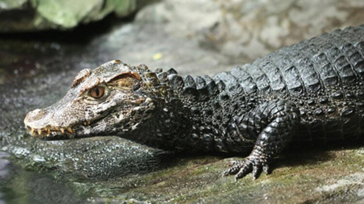 《首富父亲做保安》与同事的真挚情谊