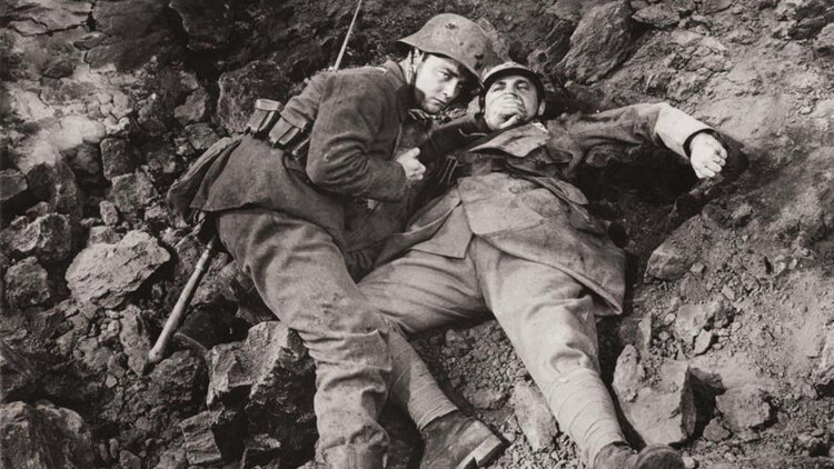 穿越剧饥荒开局官府分配漂亮媳妇：安定与希望