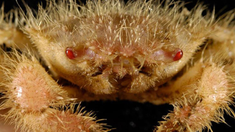 花满楼之绝世花魁