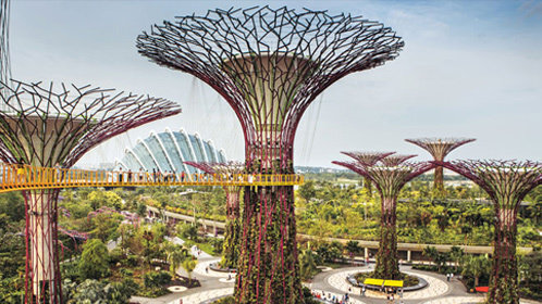 《文娱天王归来》的友情与团队支持