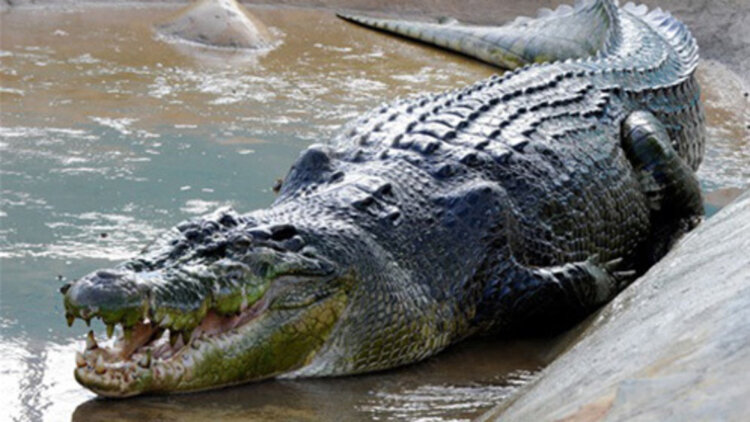 他人即地狱短剧版