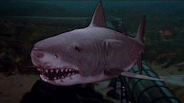 爱在黎明到来前