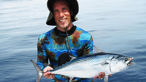 波斯猫的外貌特点：魅力十足的外表