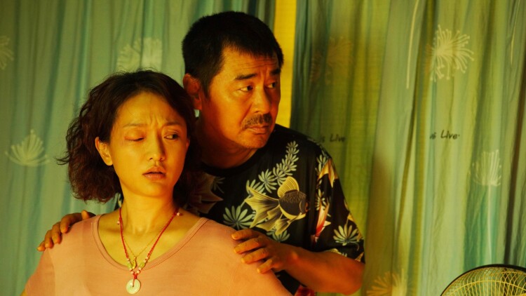 苏秘书为何那样