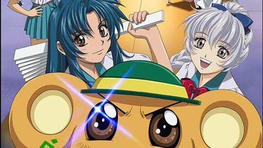 爱你是终身浪漫的开始