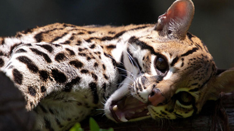 眼睛疲劳的常见原因