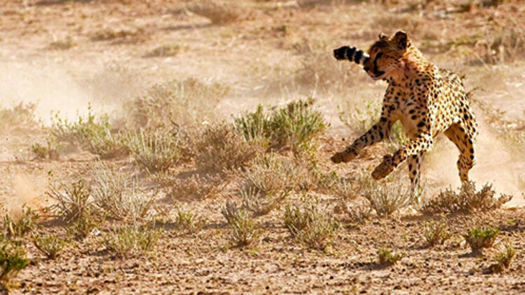 《夜无疆》身世之谜渐明