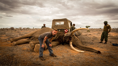 我的好朋友黑漆漆