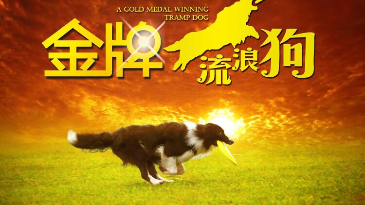 河边有个好地方