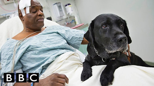 千金你的老公是将军