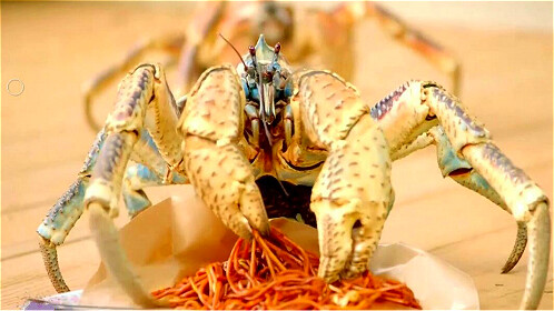 修仙辅助器动态漫