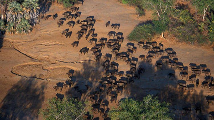 她的桃花运只有2小时