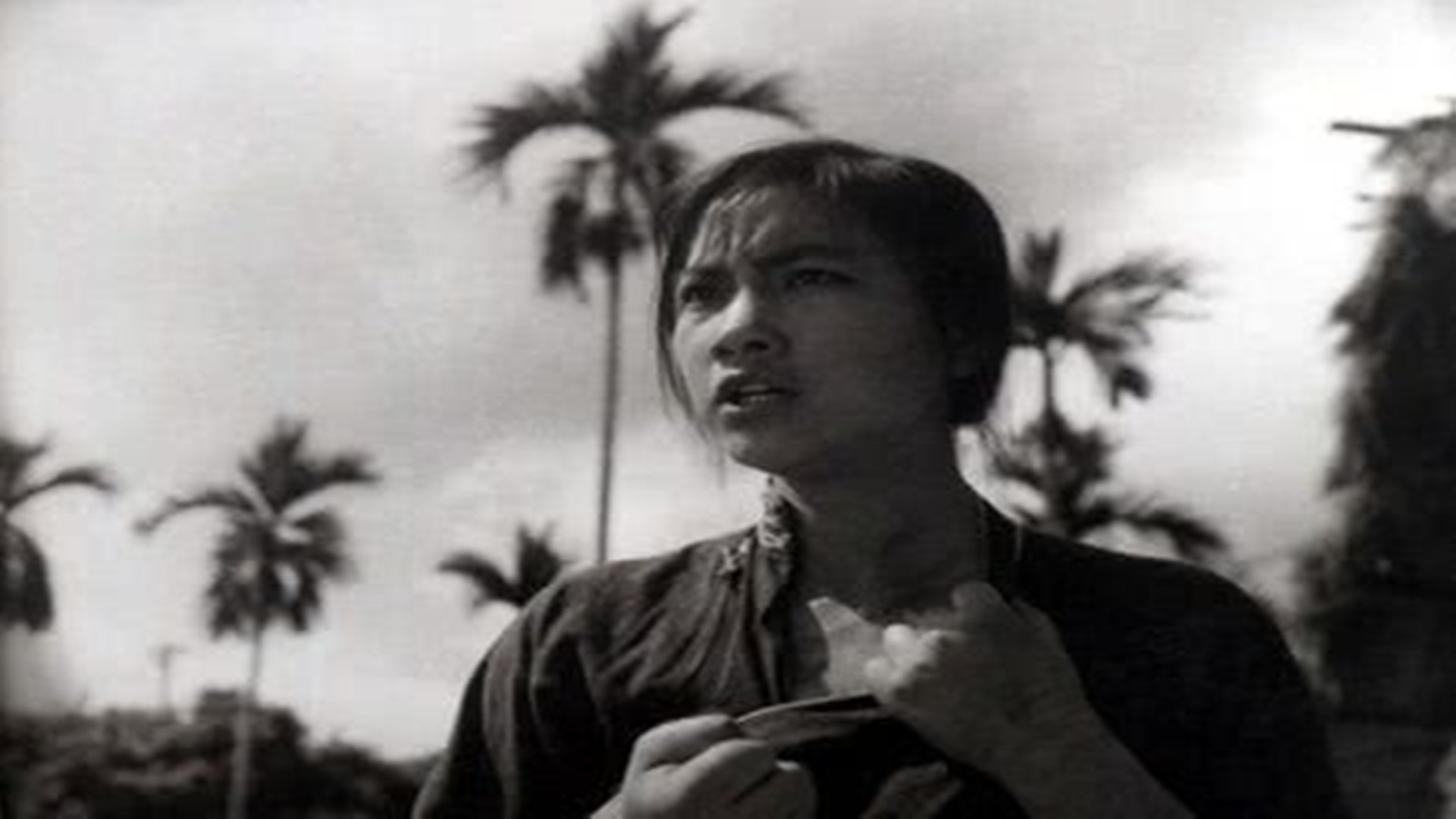 红色娘子军-封面1