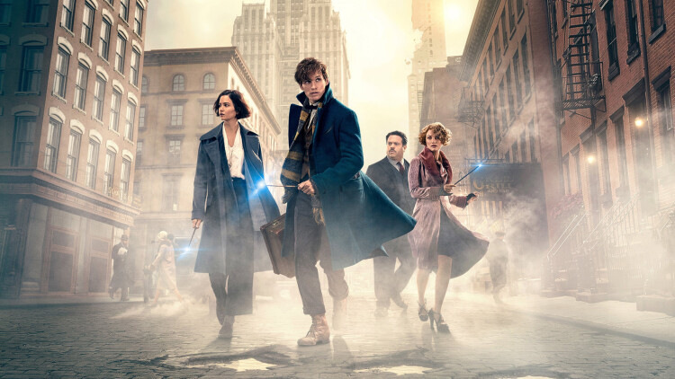 星辰与你皆可期