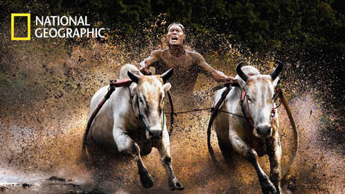 《霍先生宠妻无度》甜蜜初遇