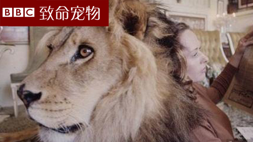 致命宠物第3季-封面1