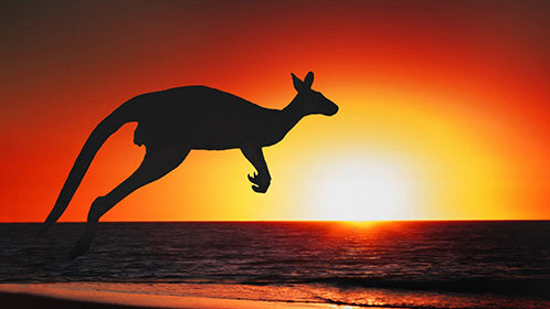 季少的千亿前妻