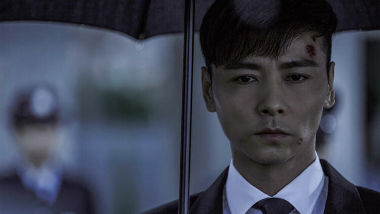 裴先生明恋成真