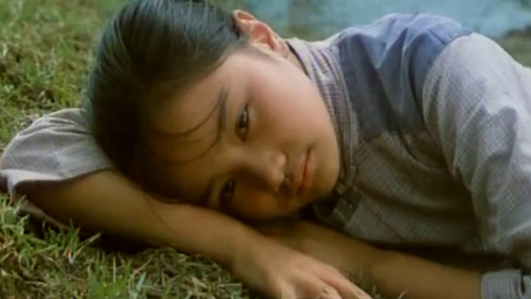 草迷宫恐怖杀人事件