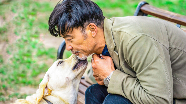 轮到你看我爱别人