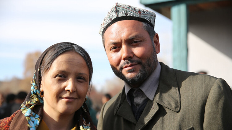 倒挂与蝙蝠的社交行为