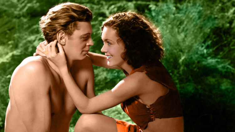 郑州市高校的特色专业：多元化教育