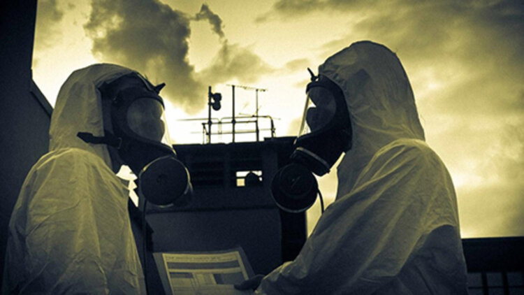 小驴的巅峰人生