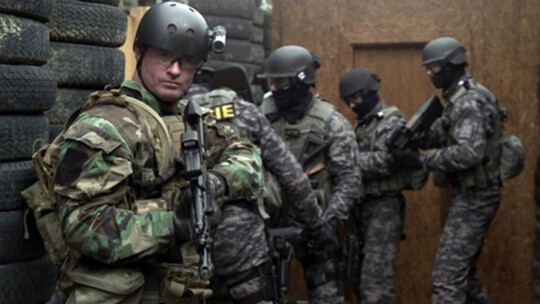 我竟靠爸妈养猪走上巅峰的创新尝试