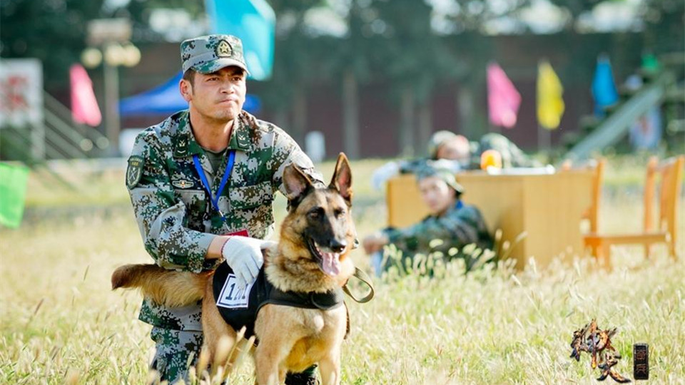 神犬奇兵