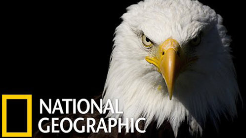 公测即将开启，加入《QQ三国》的战斗吧！